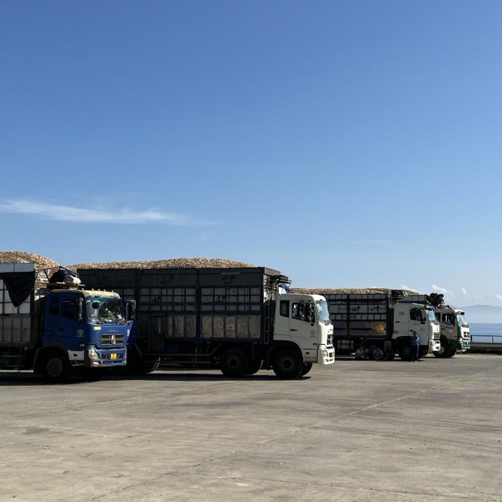 van-tai-duong-bo-11
